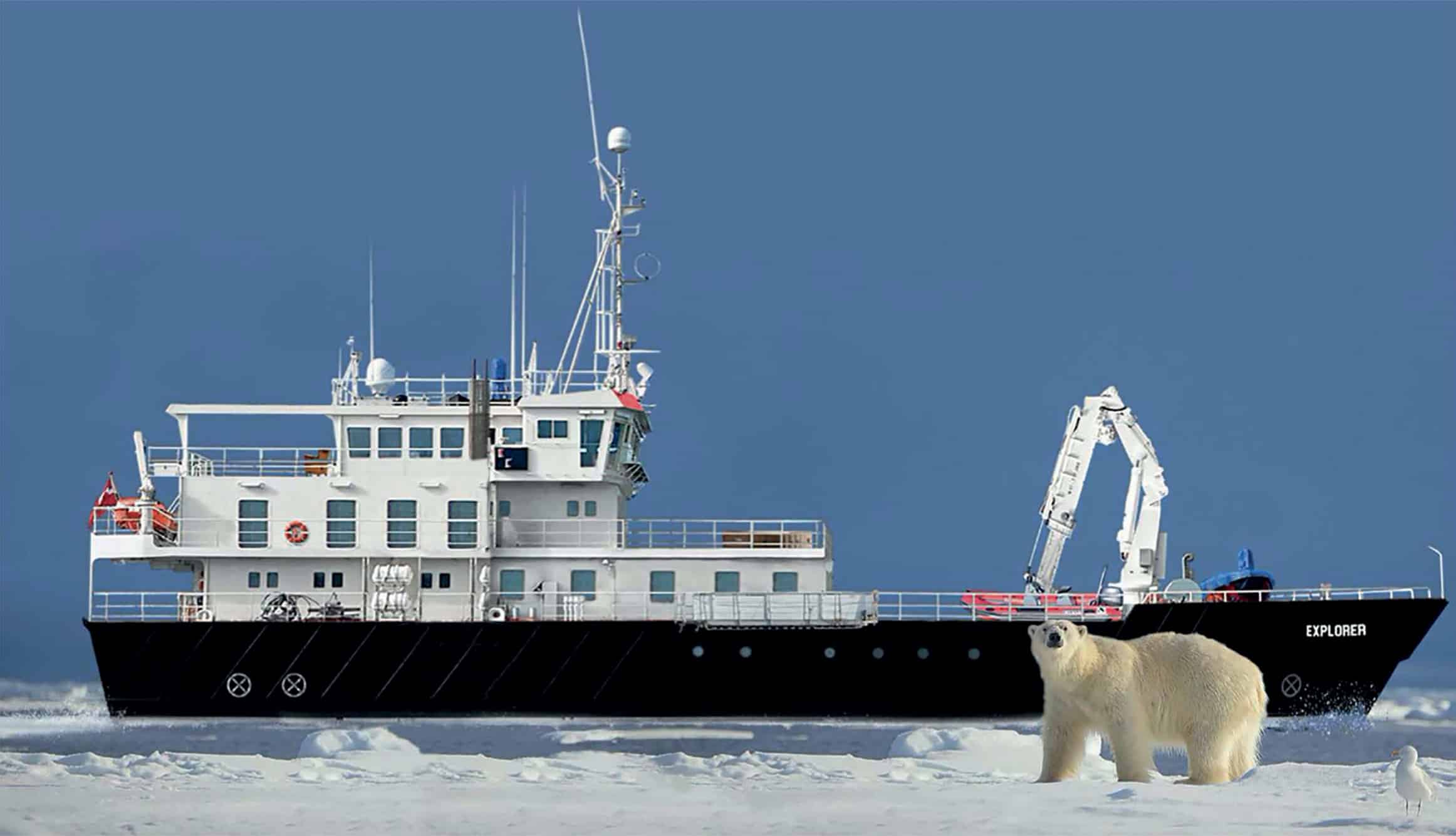 Croisière de luxe vers des destinations emblématiques, avec TMR Croisières, pour des expériences authentiques en milieu polaire.